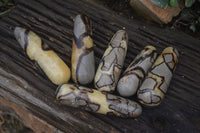 Polished  Septerye Massage Wands x 6 From Mahajanga, Madagascar