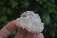 Natural Small Clear Quartz Crystals & Clusters  x 24 From Zambia - Toprock Gemstones and Minerals 