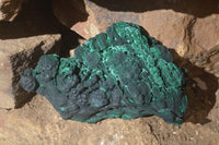 Natural Botryoidal Malachite Specimens  x 3 From Kolwezi, Congo