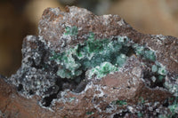 Natural Drusy Coated Ball Malachite On Dolomite Specimen x 1 From Congo