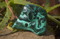 Polished Malachite Free Forms x 3 From Kolwezi, Congo