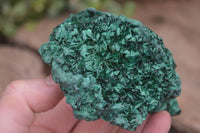 Natural Chatoyant Silky Malachite Specimens  x 4 From Kasompe, Congo