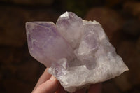 Natural Jacaranda Amethyst Clusters x 2 From Zambia