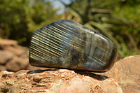 Polished Labradorite Standing Free Forms With Intense Blue & Gold Flash x 3 From Sakoany, Madagascar - TopRock