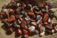 Polished Mini Craft Red Jasper Tumble Stones - Sold per 500 g - From Northern Cape, South Africa