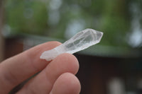 Natural Small Clear Madagascar Quartz Crystals  - Sold per 1 kg - From Madagascar - TopRock