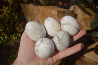 Polished White Howlite Gemstone Eggs x 12 From Madagascar