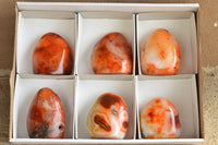 Polished Beautiful Selection Of Carnelian Agate Standing Free Forms  x 6 From Madagascar - TopRock