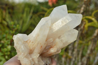 Natural Candle Quartz Clusters With Golden Iron Colouration  x 4 From Madagascar - TopRock