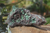 Natural Drusy Coated Ball Malachite On Dolomite Specimen x 1 From Congo