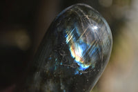 Polished Labradorite Standing Free Forms With Blue & Gold Flash  x 3 From Tulear, Madagascar - Toprock Gemstones and Minerals 