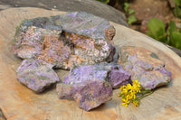 Natural Rough Purple Stichtite Specimens  x 5 From Barberton, South Africa - TopRock