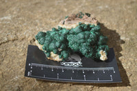 Natural Rare Ball Malachite On Drusy Quartz & Dolomite Specimens x 3 From Kambove, Congo