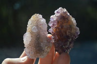 Natural Rare Dark Purple Spirit Amethyst Clusters  x 24 From Boekenhouthoek, South Africa - Toprock Gemstones and Minerals 