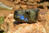 Polished Labradorite Standing Free Forms With Intense Blue & Gold Flash x 3 From Sakoany, Madagascar - TopRock