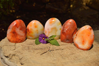 Polished Beautiful Selection Of Carnelian Agate Standing Free Forms  x 6 From Madagascar - TopRock