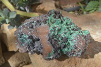 Natural Drusy Coated Ball Malachite On Dolomite Specimen x 1 From Congo