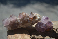 Natural Rare Dark Purple Spirit Amethyst Clusters  x 24 From Boekenhouthoek, South Africa - Toprock Gemstones and Minerals 