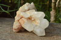 Natural Candle Quartz Clusters With Golden Iron Colouration  x 4 From Madagascar - TopRock