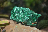 Natural Chatoyant Silky Malachite Specimens  x 4 From Kasompe, Congo