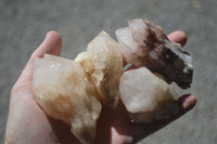 Natural Highly Selected Candle Quartz Crystals  x 12 From Madagascar - Toprock Gemstones and Minerals 