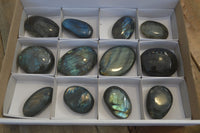 Polished Flashy Labradorite Palm Stones  x 12 From Tulear, Madagascar