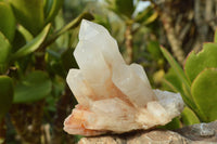 Natural Candle Quartz Clusters With Golden Iron Colouration  x 4 From Madagascar - TopRock