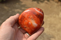 Polished Beautiful Selection Of Carnelian Agate Standing Free Forms  x 6 From Madagascar - TopRock