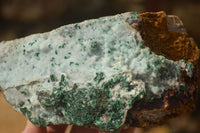 Natural Drusy Coated Chrysocolla & Malachite Dolomite Specimens x 3 From Likasi, Congo