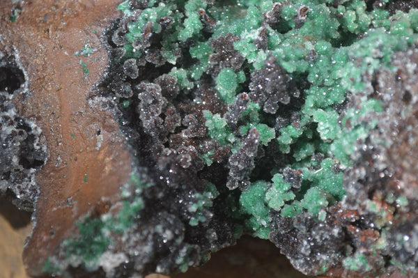 Natural Drusy Coated Ball Malachite On Dolomite Specimen x 1 From Congo