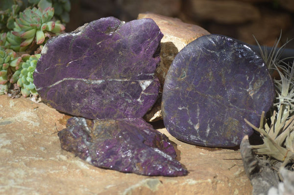 Polished One Side Polished Purpurite Free Forms x 3 From Erongo, Namibia