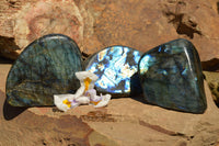 Polished Labradorite Standing Free Forms With Intense Blue & Gold Flash x 3 From Sakoany, Madagascar - TopRock