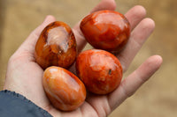 Polished Bright Orange and Darker Red Carnelian Agate Eggs  x 12 From Madagascar - TopRock