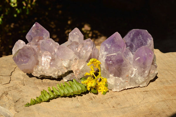 Natural Jacaranda Amethyst Quartz Clusters  x 2 From Mumbwe, Zambia - TopRock