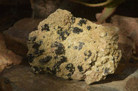 Natural Schorl Black Tourmaline Specimens x 2 From Erongo, Namibia