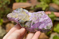 Natural Rough Purple Stichtite Specimens  x 5 From Barberton, South Africa - TopRock