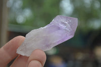 Natural Single Jacaranda Amethyst Crystals  x 35 From Zambia - Toprock Gemstones and Minerals 