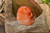 Polished Beautiful Selection Of Carnelian Agate Standing Free Forms  x 6 From Madagascar - TopRock