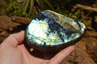 Polished Labradorite Standing Free Forms With Intense Blue & Gold Flash x 3 From Sakoany, Madagascar - TopRock