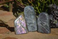 Polished Rare Purple Flash Labradorite Standing Free Forms  x 3 From Tulear, Madagascar