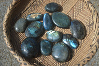 Polished Flashy Labradorite Palm Stones  x 12 From Tulear, Madagascar