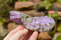 Natural Rough Purple Stichtite Specimens  x 5 From Barberton, South Africa - TopRock