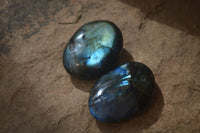 Polished Flashy Labradorite Palm Stones  x 12 From Tulear, Madagascar