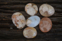 Polished Mini Ocean  Flower Agate Palm Stones  x 35 From Madagascar