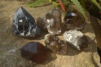 Natural Smokey Quartz Crystals x 6 From Zomba, Malawi