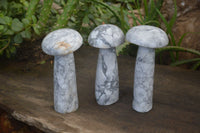 Polished Large Howlite Mushrooms  x 3 From Zimbabwe