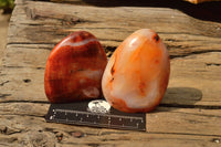 Polished Beautiful Selection Of Carnelian Agate Standing Free Forms  x 6 From Madagascar - TopRock