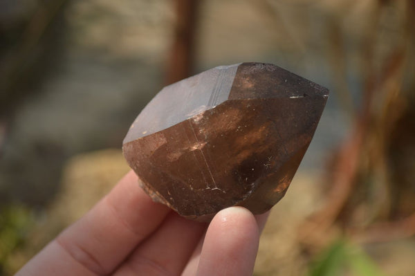 Natural Smokey Quartz Crystals x 6 From Zomba, Malawi