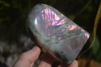 Polished Rare Purple Flash Labradorite Standing Free Forms  x 3 From Tulear, Madagascar