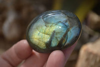 Polished Flashy Labradorite Palm Stones  x 12 From Tulear, Madagascar